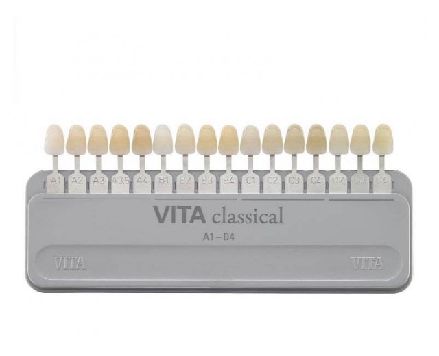 Guía Vita