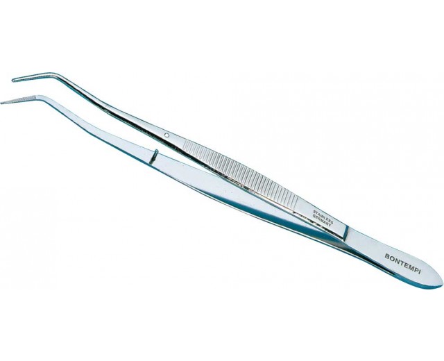 Pinza Meriam