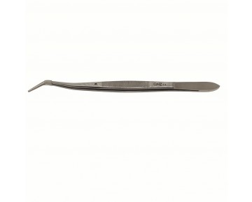 Pinza de exploración